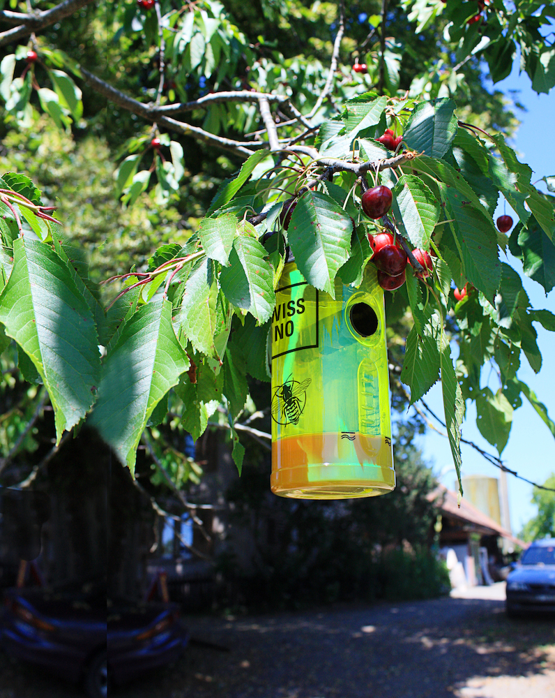 SWISSINNO Wespenfalle inkl. Köder Swissi nno Solution Produktbild img6 L