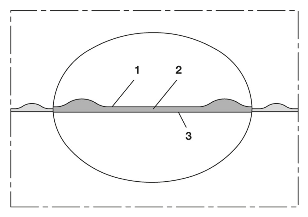 PROTAPE®PUR335MHF FLAT Lebensmittelschlauch Produktbild img3 L