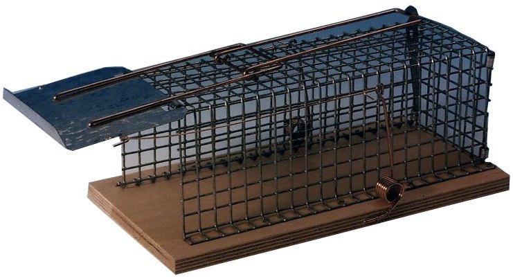 Deu Fa Drahtkäfigrattenfalle Luna 014003 Produktbild img1 L