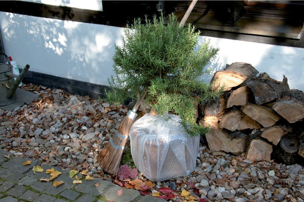 floraworld Luftpolster-Isolierfolie 0,5x 5m,80my,10mm Noppen Produktbild img3 L