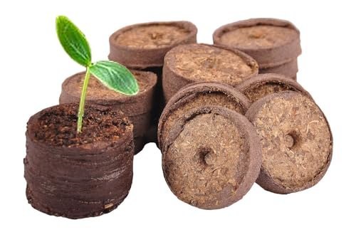 floraworld Torfquelltöpfe 20er 3,5cm Produktbild img1 L