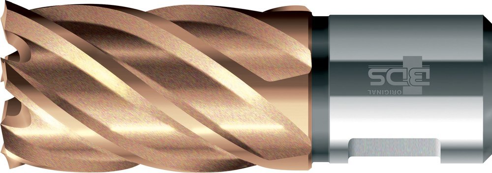 BDS MASCHINEN Kernbohrer HSS Produktbild img1 L