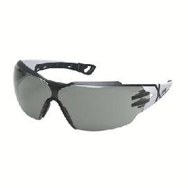 UVEX Bügelbrille pheos cx2 grau 23% sv exc. 9198239 Produktbild