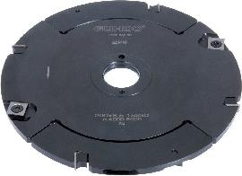 GUHDO HW-WPL-Verstellnut. Z4 V4 D250mm 8,5-15mm Produktbild