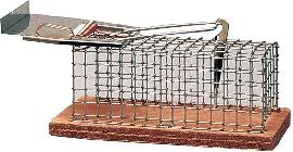 Deu Fa Drahtkäfigfalle Luna 005001 Produktbild