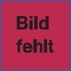 E-COLL Bohr-Schneidöl-Spray 400ml gelför mig EE Produktbild