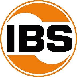 IBS Reiniger WAS 50.100 Produktbild