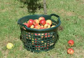 floraworld Gartenkorb, Kunststoff Produktbild