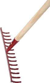 floraworld Gartenrechen Kieferstiel 14 Zk m. Stiel Produktbild