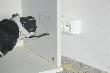 Bosch Universalset Wood and Paint 13-teilig Produktbild img3 S