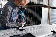 Bosch PRO Akku-Geradschleifer GGS 18V-20, solo Produktbild img5 S