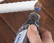 Dremel EZ SpeedClic: Schleifdorn & Schleifband Produktbild img3 S