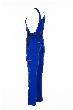 PLANAM Latzhose Highline 2330 Produktbild img14 S