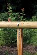 GAH Lochband Stahl sendzimirverzinkt 12 mm x 0,8 mm x Rollenlänge 10 m Produktbild img2 S