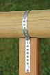 GAH Lochband Stahl sendzimirverzinkt 12 mm x 0,8 mm x Rollenlänge 10 m Produktbild img3 S