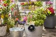 Gardena Solar-Bewässerung aquaBloom Set 13300-20 Produktbild img9 S