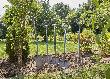 Gardena ErgoLine Spitz-Spaten 17012-20 Produktbild img5 S
