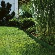 Gardena Raseneinfassung grün Produktbild img4 S