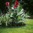 Gardena Raseneinfassung grün Produktbild img2 S