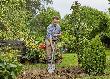 Gardena NatureLine Spitz-Spaten 17001-20 Produktbild img2 S