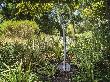 Gardena ErgoLine Teleskop-Spaten 17020-2 0 Produktbild img3 S