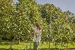 Gardena Asthaken comisystem Produktbild img3 S