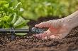 Gardena Micro-Drip-System Verschlussstopfen 13 mm (1/2") - Inhalt: 5 Stück Produktbild img4 S