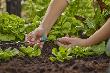 Gardena Kleinflächendüse MDS 11 tlg Produktbild img2 S