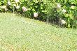 floraworld Sprühschlauch 80 Meter., m. 3 Kammern Produktbild img2 S