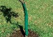 floraworld Baumschutzspirale 2er, 60 cm Produktbild img2 S