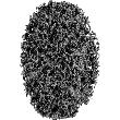 PFERD Scheibe Policlean 75x13x6mm Pferd Produktbild img1 S