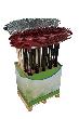 floraworld Display Laubbesen+Laub-Rasenbesen Produktbild