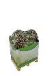 floraworld Display Gartenabfallsack Autumn Produktbild