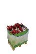 floraworld Display Kleingeräte 014745 Produktbild