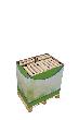 floraworld Display Pflanzenroller Athen Produktbild img1 S