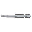 fischer Profi-Bit Innenstern TX Produktbild