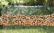 Gewebe-Abdeckplane 2 x 3 m 90g/m² grün Produktbild img5 S