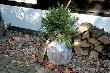floraworld Luftpolster-Isolierfolie 0,5x 5m,80my,10mm Noppen Produktbild img3 S