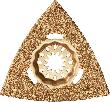 Fein Raspel HM Dreieck 80mm Starlock Produktbild