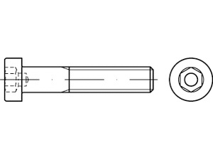 DIN 6912 8.8  galvanisch verzinkt Produktbild img1 L