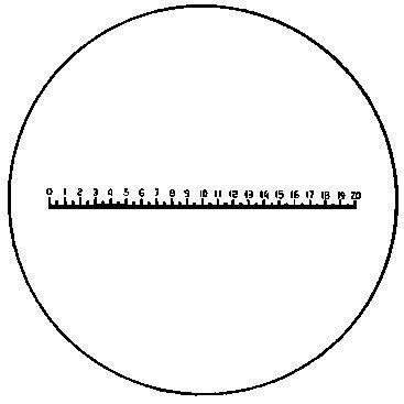 Präzisions-Skala Typ D ESCHENBACH Produktbild img1 L