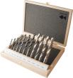 Holzspibo.Stz.HSS Profi 11-tlg. 4-16mm R Fisch Produktbild img1 S