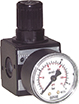 Druckminderer Multifix - R - 10 mit Manometer Produktbild img1 L