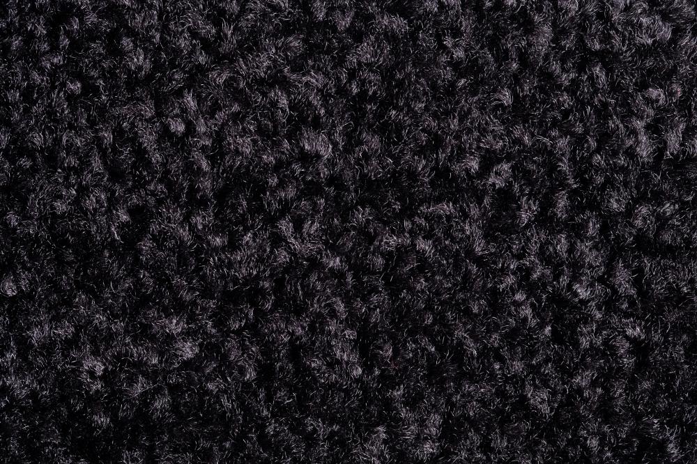 Schmutzfangmatte Eazycare Color, schwarz Produktbild img1 L