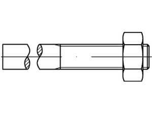 DIN 525 Mu 4.6 M 12 x 170/ 55 S Produktbild