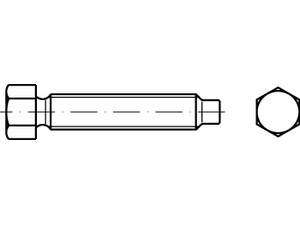 DIN 561 22 H (8.8) Ri galvanisch verzinkt Sechskantschrauben mit Zapfen und kleinem Sechskant, mit Rille Produktbild img1 S