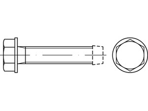 DIN 7500 Stahl ~Form D galvanisch verzinkt Gewindefurchende Schrauben, metr. Gewinde, Sechskant-Flanschkopf Produktbild img1 S