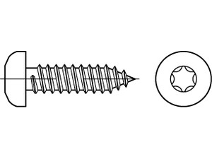 ISO 14585 A 2 Form C - ISR Flachkopf-Blechschrauben mit Spitze, mit Innensechsrund Produktbild img1 S