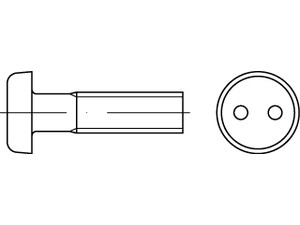 Artikel 88111 A 2 Zweiloch Diebstahlhemmende Schrauben, Linsenkopf DIN 85, Zweiloch-Antrieb Produktbild