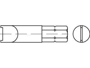 Artikel 88665 Stahl Zweiloch gehärtet Spezial-Bits für diebstahlhemmende Schrauben mit Snake Eye Antrieb Produktbild img1 S